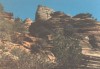 Thumbs/tn_083.Zion Canjon.jpg